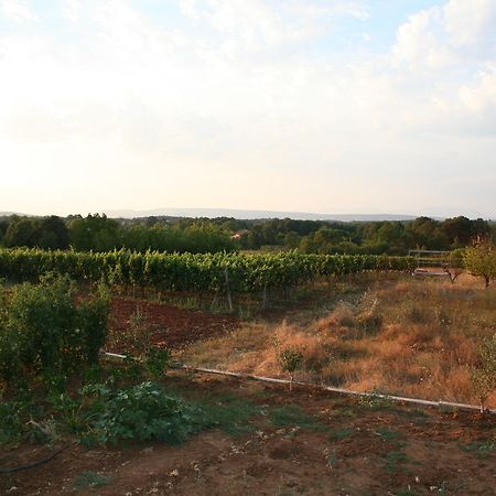 Apartments Paninich Međugorje Zewnętrze zdjęcie